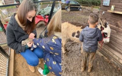 Our children and young people take a day trip to the Alpaca farm